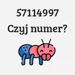 57114997