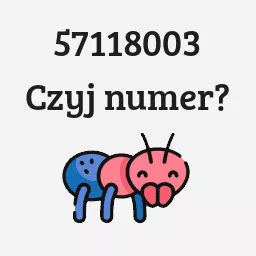 57118003