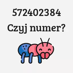 572402384