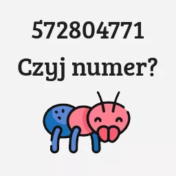 572804771