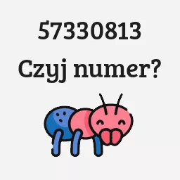 57330813