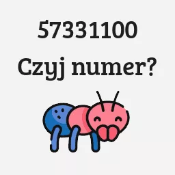 57331100