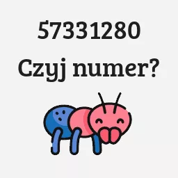 57331280