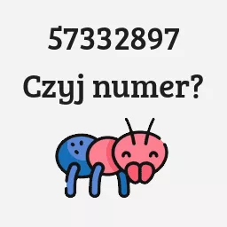 57332897