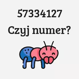 57334127