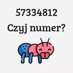 57334812