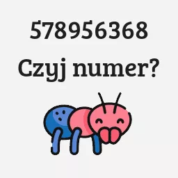 578956368