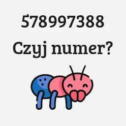 578997388