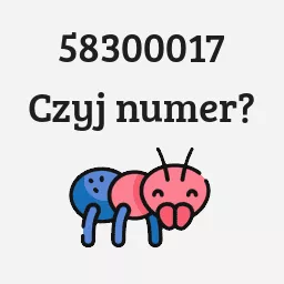 58300017