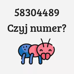 58304489