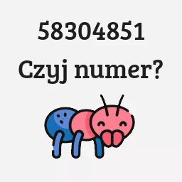 58304851