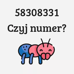 58308331