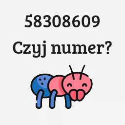 58308609