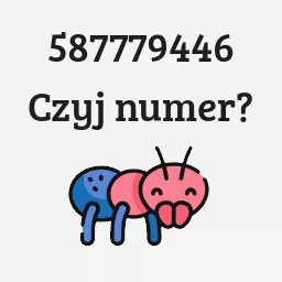 587779446