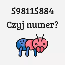 598115884