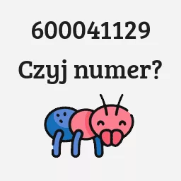 600041129