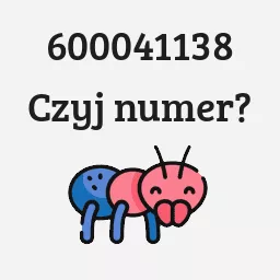 600041138