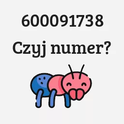 600091738