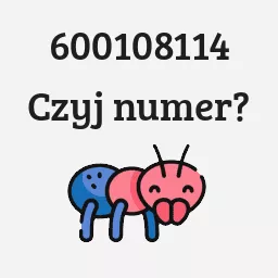 600108114