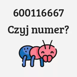 600116667