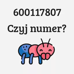 600117807