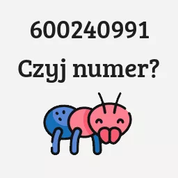 600240991