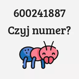 600241887