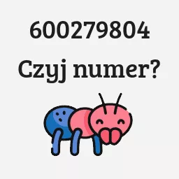 600279804