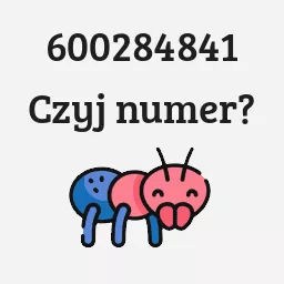 600284841