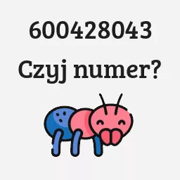 600428043