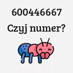 600446667