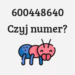 600448640