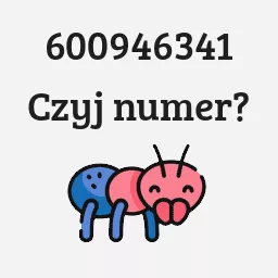 600946341