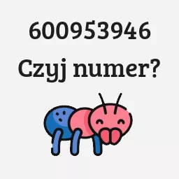 600953946