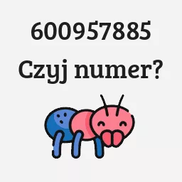 600957885