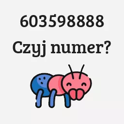 603598888