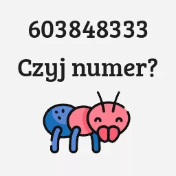 603848333