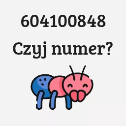 604100848