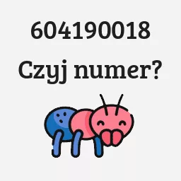 604190018