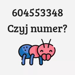 604553348