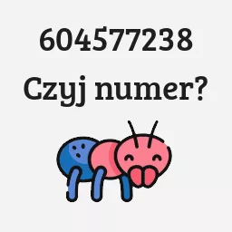 604577238