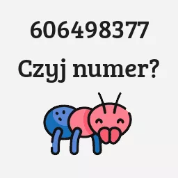 606498377