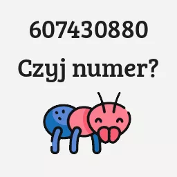 607430880