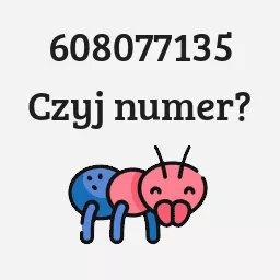 608077135