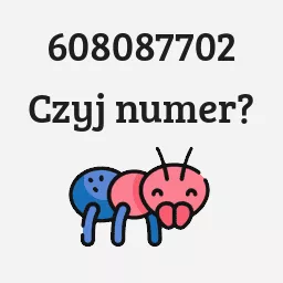 608087702