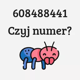 608488441