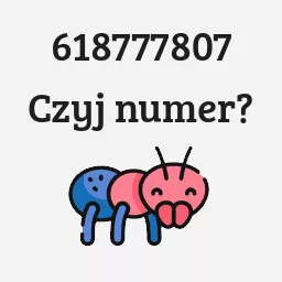 618777807