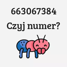 663067384