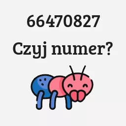 66470827