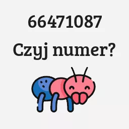 66471087